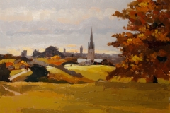 Artist Mo Teeuw - View of Norwich from Mousehold Heath 14x18 Oil on Canvas at Paint Out Norwich 2015